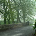 Rainy Day (Melody from The Eagle Will Rise Again by Alan Parsons) The sound of gentle rain has a primordial effect on the human psyche, literally eliciting a parasympathetic response. The background of this piece is a breezy, rainy spring morning with the occasional roll of distant thunder. The foreground is the rhythm from Alan Parson's The Eagle Will Rise Again.