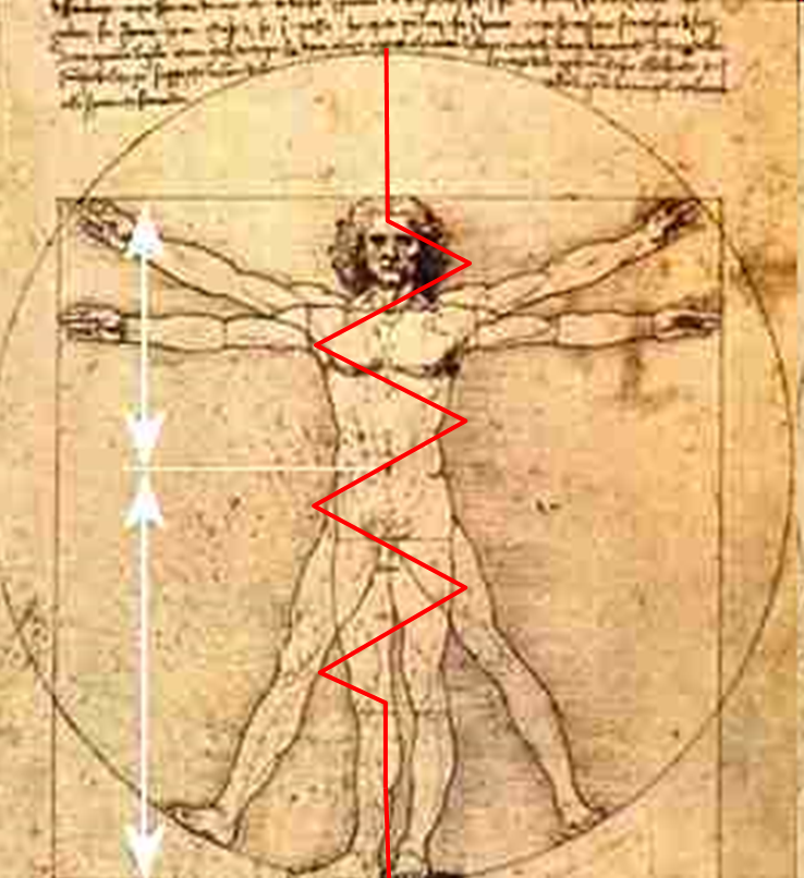 The Human Body & Our Electrical Relationship to Earth