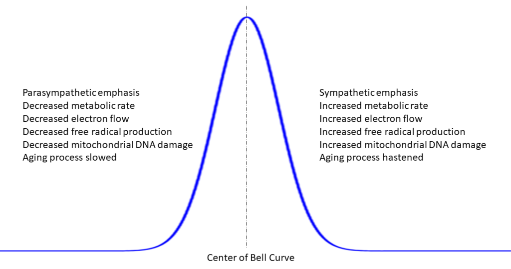 Figure 24: Electron flow in the electron transport chain and the Bell Curve